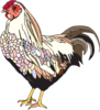 Colorful Chicken Clip Art